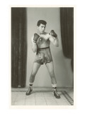 Boxer Posing