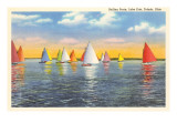 Colorful Sailboats  Lake Erie  Toledo  Ohio