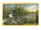Highland Park  Rochester  New York