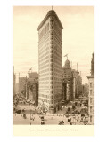 Flat Iron Building  New York City