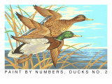Paint by Numbers  Ducks Number Two