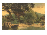 Rustic Bridge  Dayton  Ohio