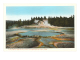 Castle Well and Cone  Yellowstone Park