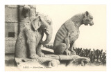 Gargoyles at Notre Dame  Paris