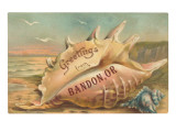 Greetings from Bandon  Oregon