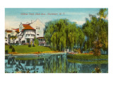 Willow Pond  Rochester  New York