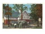 Zoo  Walbridge Park  Toledo  Ohio