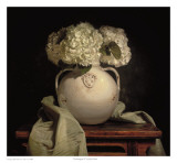 Hydrangeas II