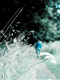 Lonely Woman