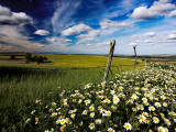 Views of Andalusia  Spain