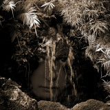 Naiad