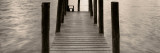 Trunti