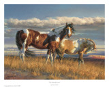 The Painted Desert