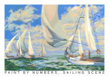 Paint by Numbers  Sailing Scene