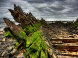 Nature 6