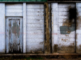 Derelict Door and Decaying Wood