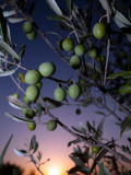 Views of Andalusia  Spain