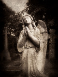 Statue of a Female Angel Praying in Cemetery