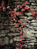 Red Stone