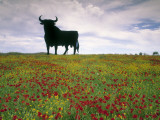Bull Statue  Toros De Osborne  Andalucia  Spain