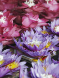 Flower Offerings for Sale at Temple of the Tooth (Sri Dalada Maligawa)  Kandy  Sri Lanka