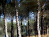 Views of Andalusia  Spain