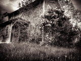 By Gone