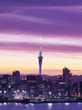 City Skyline / Night View  Auckland  North Island  New Zealand