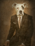 Rhype