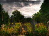Gravestones at Cathays Cemetery  Cardiff Wales