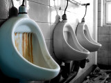 Toilete Urbex