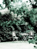 Abandoned Garden