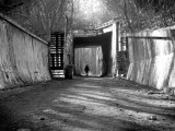 Alone