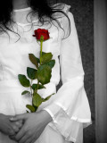 The Bride