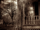 Love Lost
