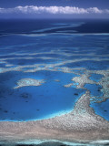 Aerial View of Great Barrier Reef  Queensland  Australia