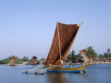 Negombo Beach / Traditional Outrigger Fishing Boats  Negombo  Sri Lanka