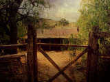 Shack 4
