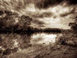 Calming