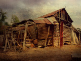 Shack 6