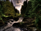 Waterfall  River Severn  Hafren Forest  Wales