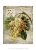 Fresco Fruit II