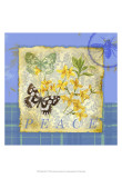 Papillon Plaid IV