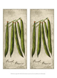 2-Up Fresco Veggies XIII