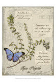 Herbs & Butterflies III