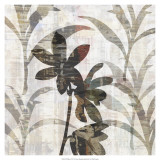 Wallflower VI