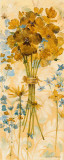 Posies II