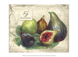 Fresco Fruit XI