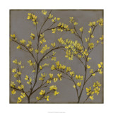 Forsythia II