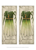 2-Up Fresco Veggies VIII